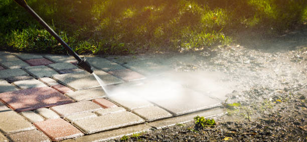 Best Driveway Pressure Washing  in Abita Springs, LA